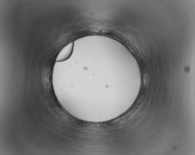 X0000116671396201001111301