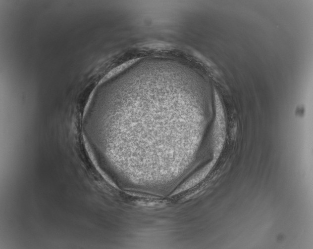 X0000116671397201001111301