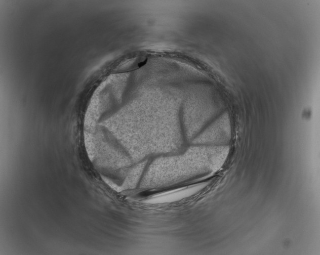 X0000116671398201001111301