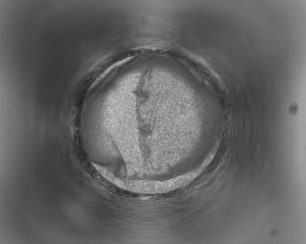 X0000116671399201001111301