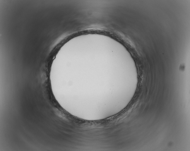 X0000116671400201001111301