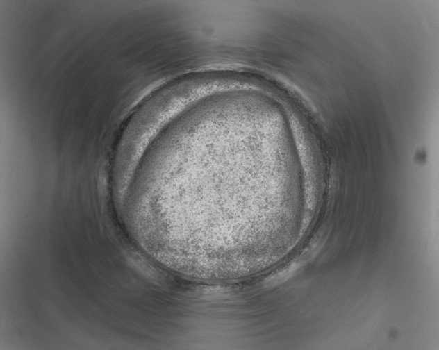 X0000116671401201001111301