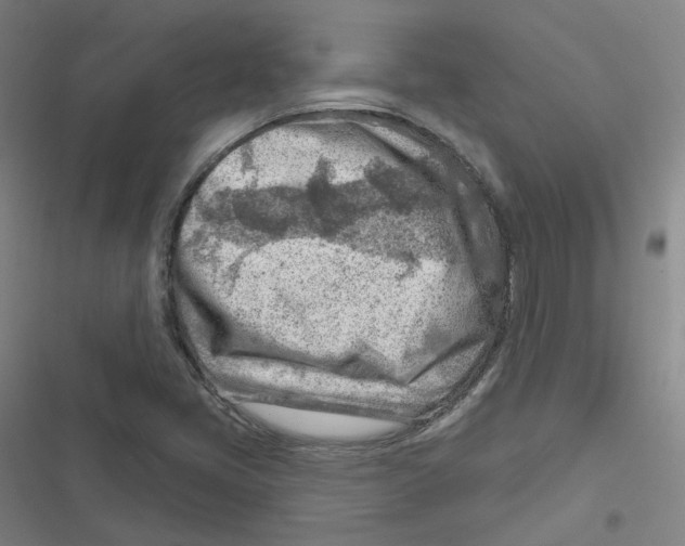 X0000116671405201001111301