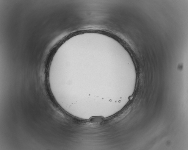 X0000116671406201001111301