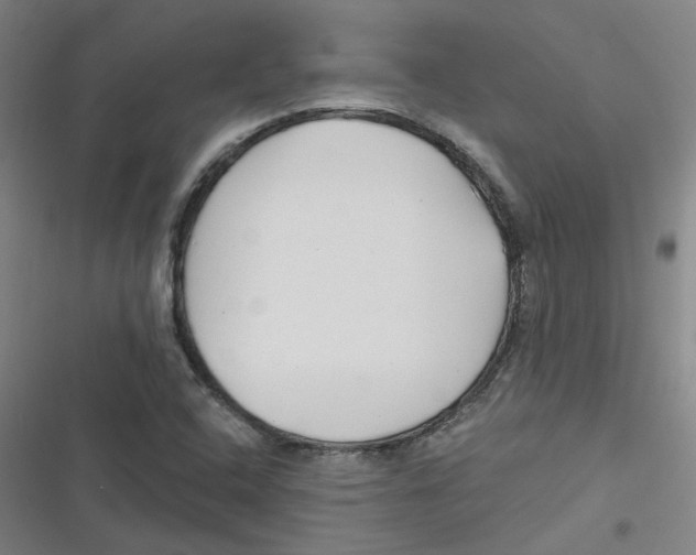 X0000116671408201001111301