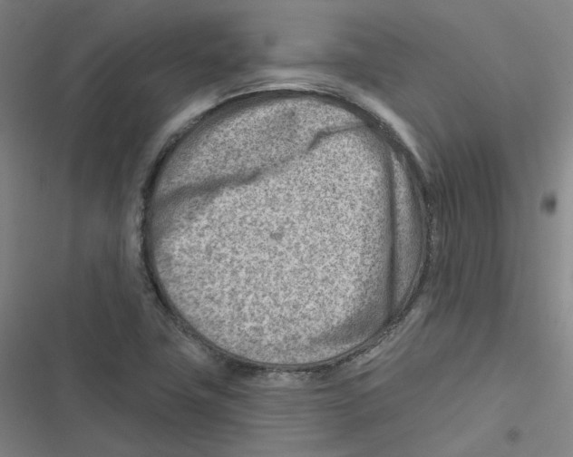 X0000116671411201001111301