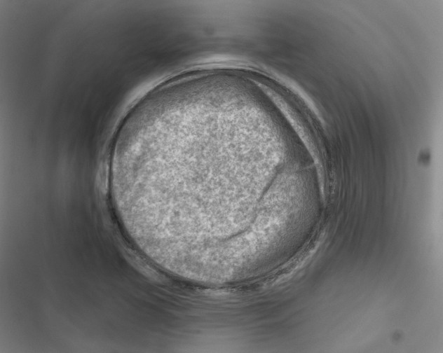 X0000116671413201001111301