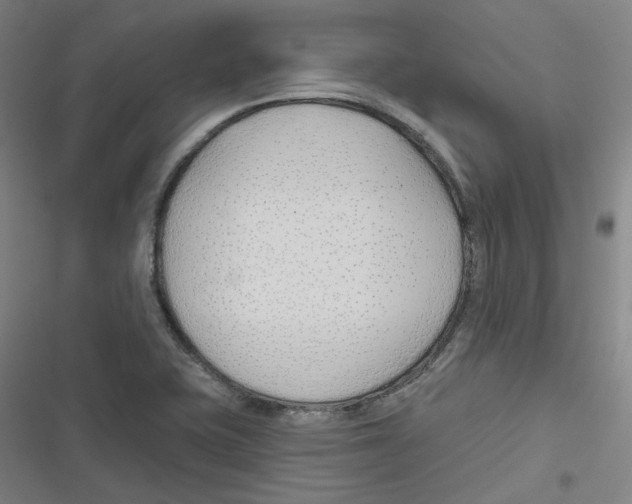 X0000116671415201001111301