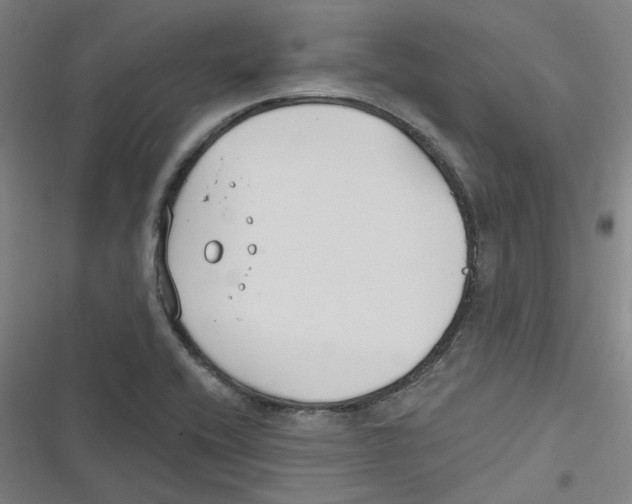 X0000116671416201001111301