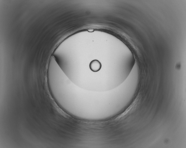 X0000116671417201001111301