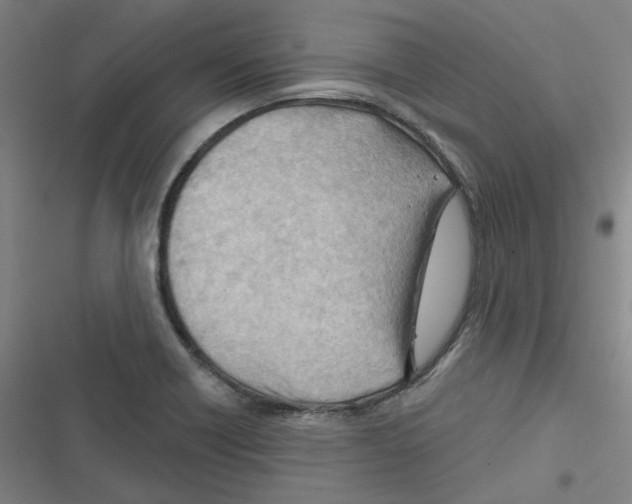 X0000116671418201001111301