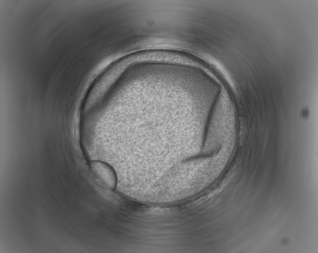 X0000116671419201001111301