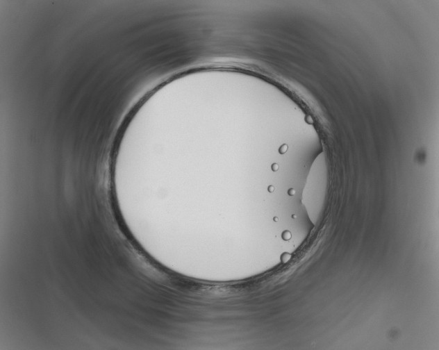 X0000116671420201001111301