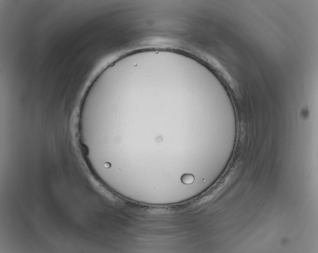 X0000116671421201001111301