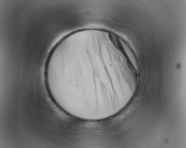 X0000116671422201001111301