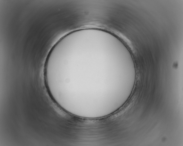 X0000116671423201001111301