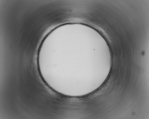 X0000116671424201001111301