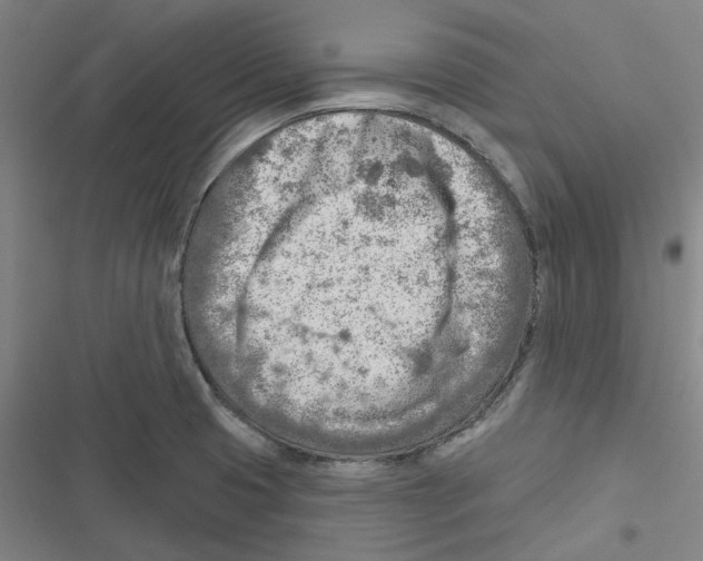 X0000116671425201001111301