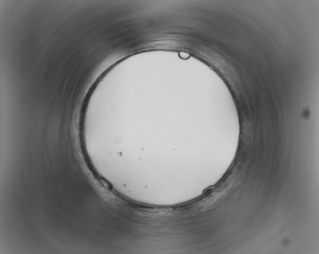 X0000116671426201001111301