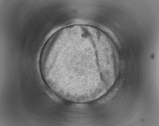 X0000116671427201001111301