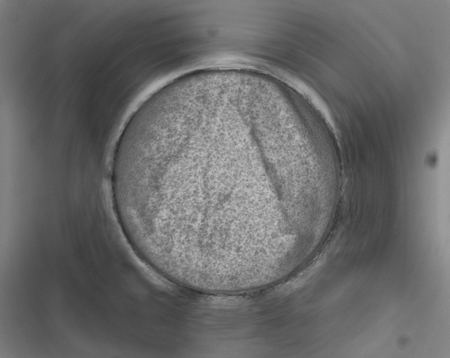 X0000116671429201001111301