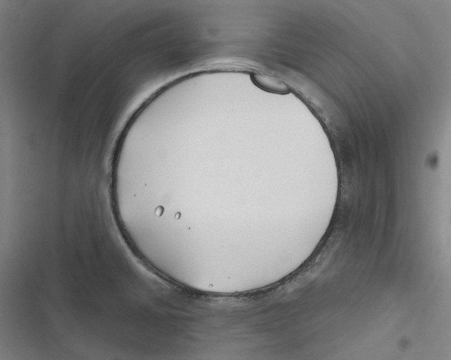 X0000116671430201001111301