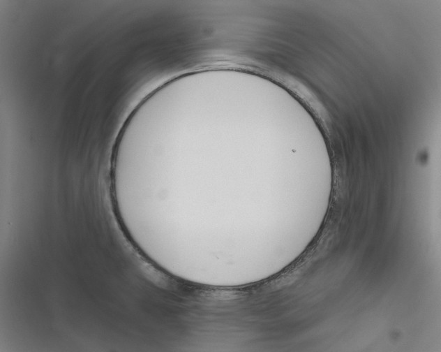 X0000116671431201001111301