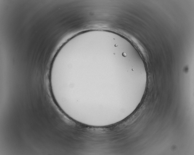 X0000116671432201001111301