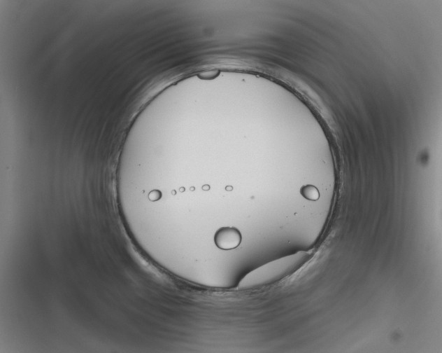 X0000116671433201001111301