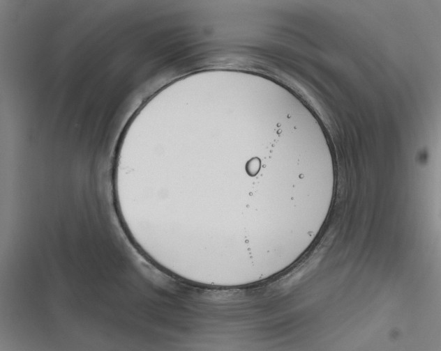 X0000116671434201001111301