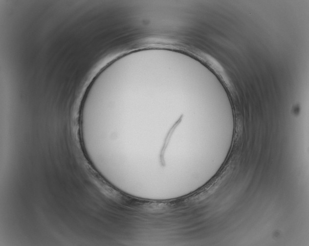 X0000116671435201001111301