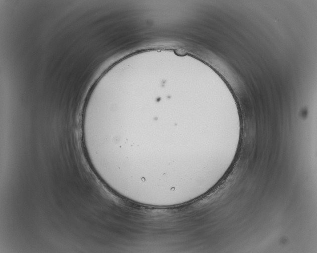 X0000116671436201001111301