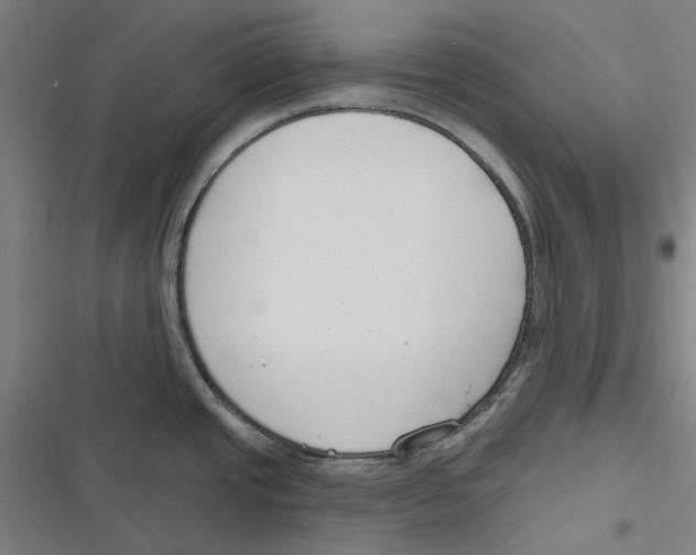 X0000116671437201001111301