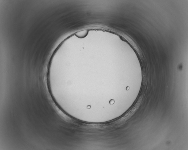 X0000116671438201001111301