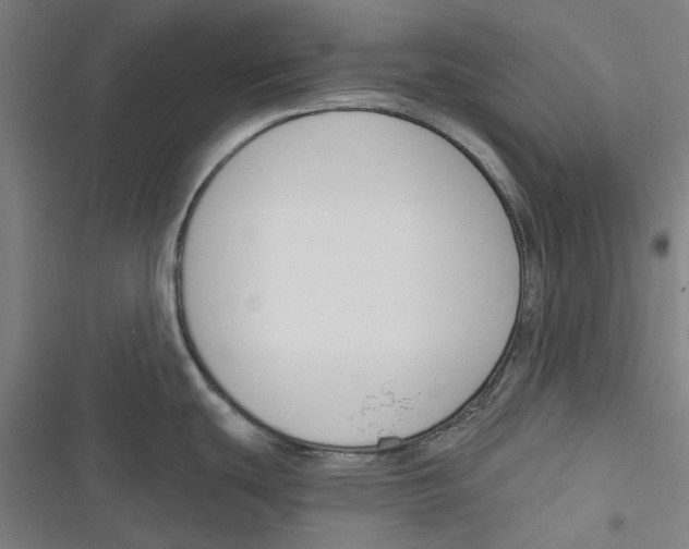 X0000116671439201001111302