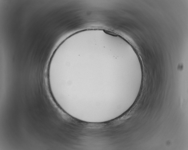 X0000116671440201001111302