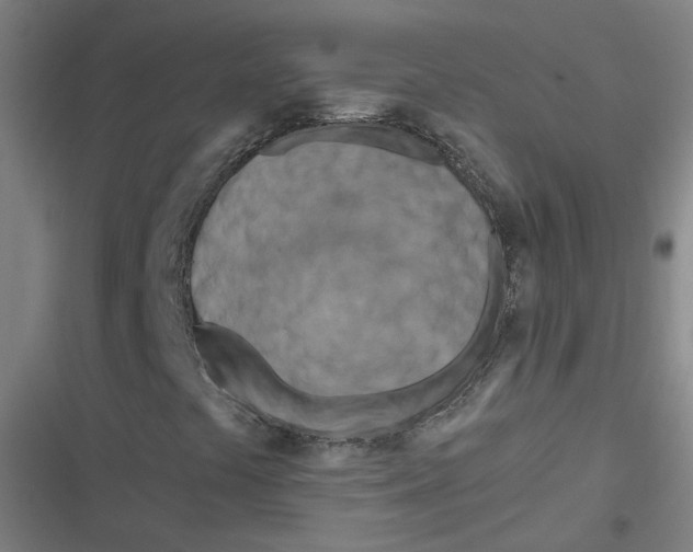 X0000116671441201001111301