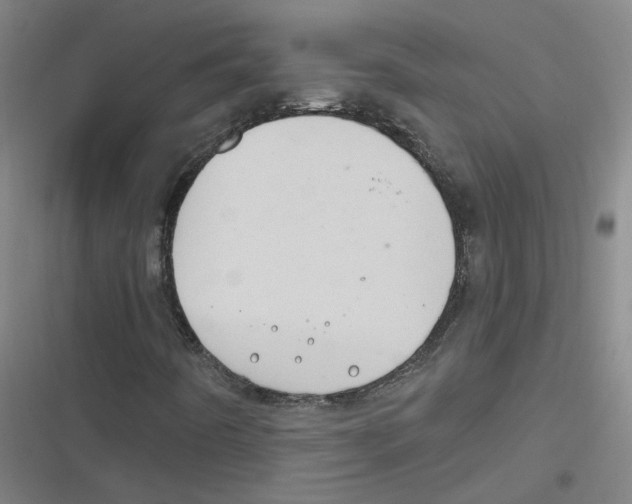 X0000116671442201001111301