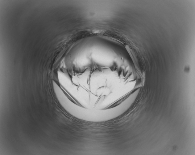 X0000116671443201001111301