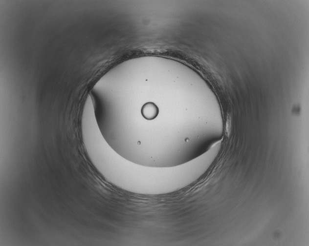 X0000116671444201001111301