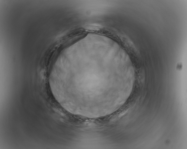 X0000116671445201001111301