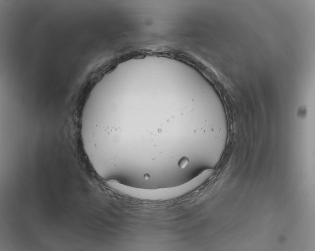 X0000116671447201001111301