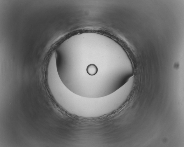 X0000116671448201001111301