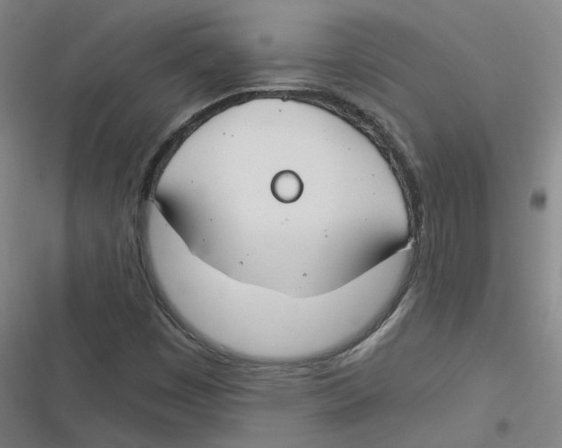 X0000116671449201001111301