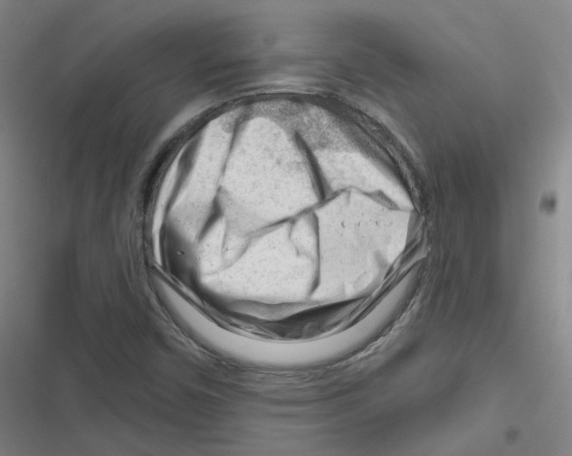 X0000116671450201001111301