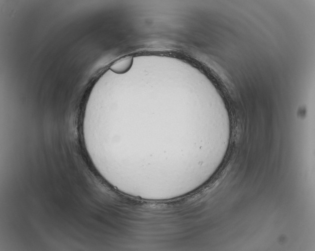 X0000116671451201001111301