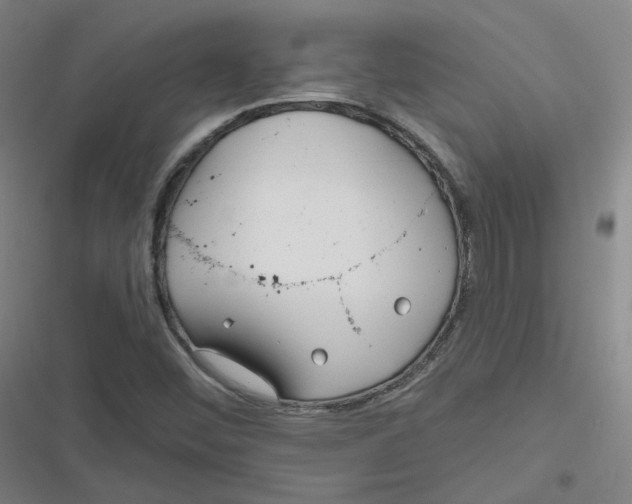 X0000116671452201001111301