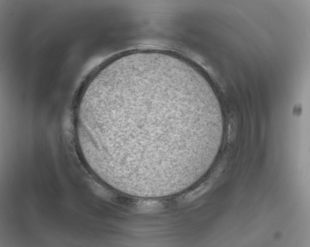 X0000116671454201001111301