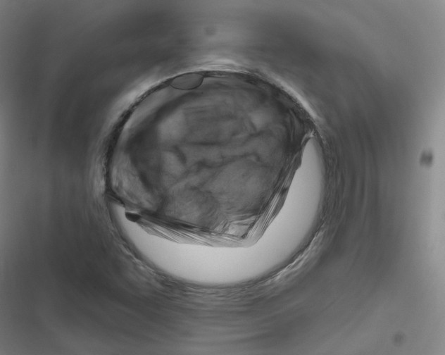 X0000116671455201001111301