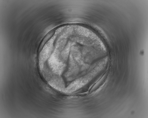 X0000116671457201001111301